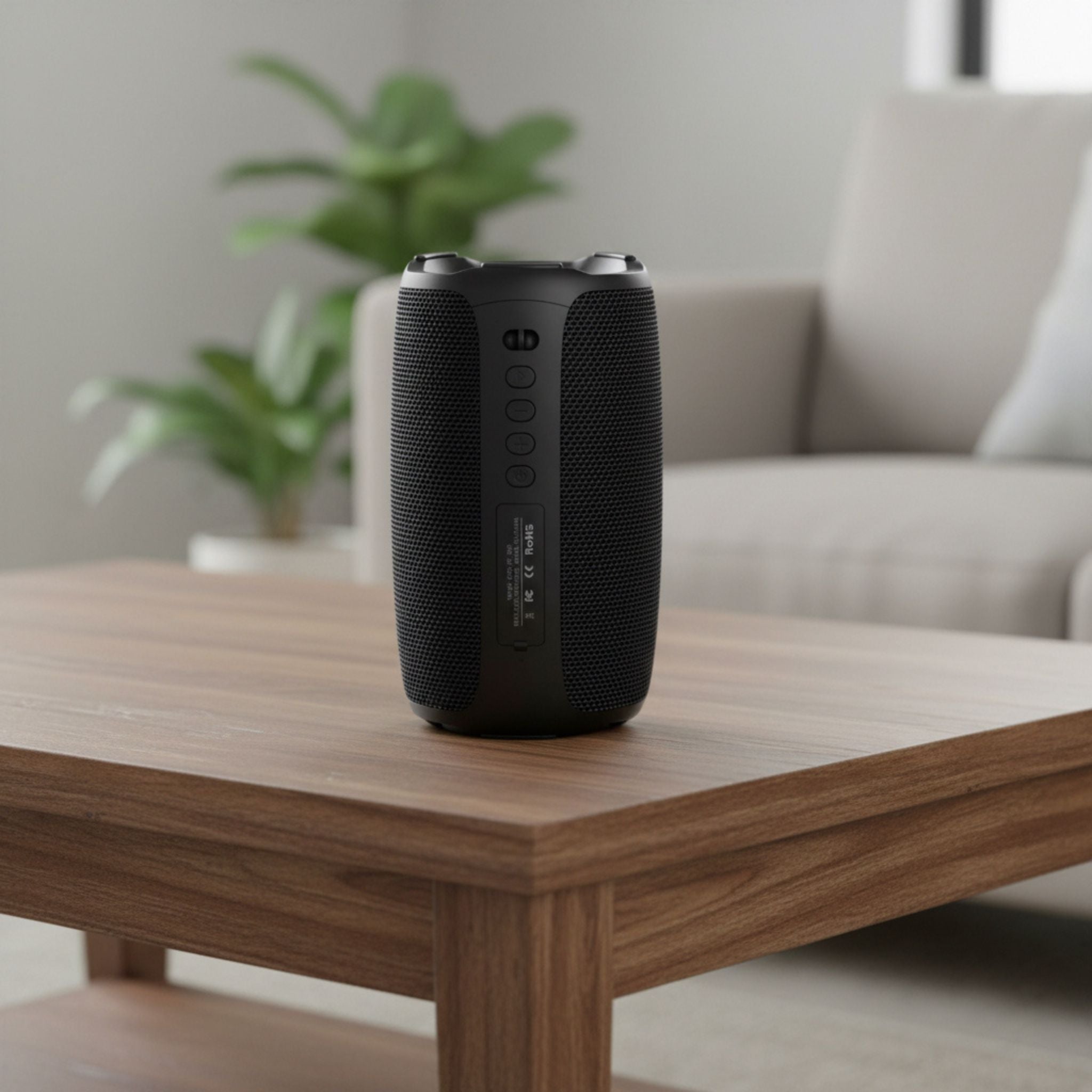 Portable Bluetooth Speaker