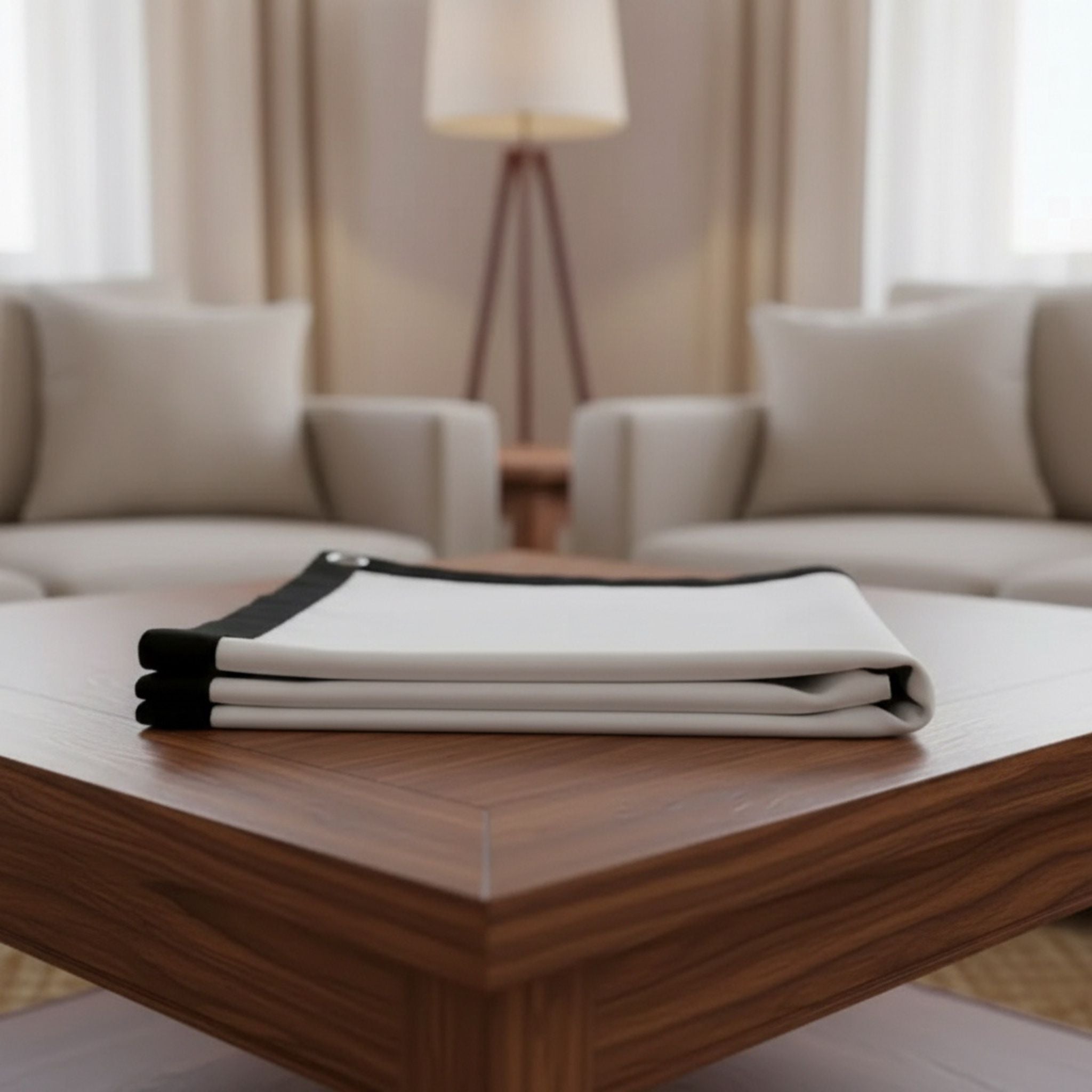 Portable Projection Screen